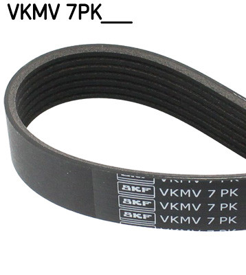 Ribbed belts for - belts, toyota