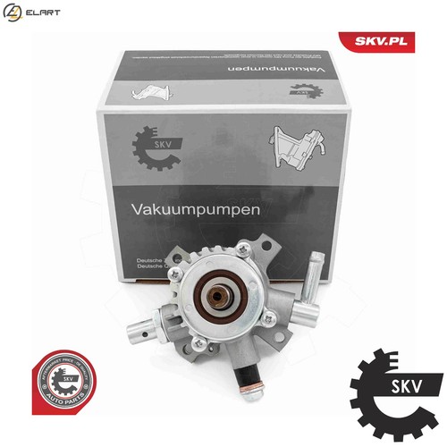 Vacuum pump braking system - pump,